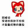 乌男子逃兵役用猫暖身奇迹存活